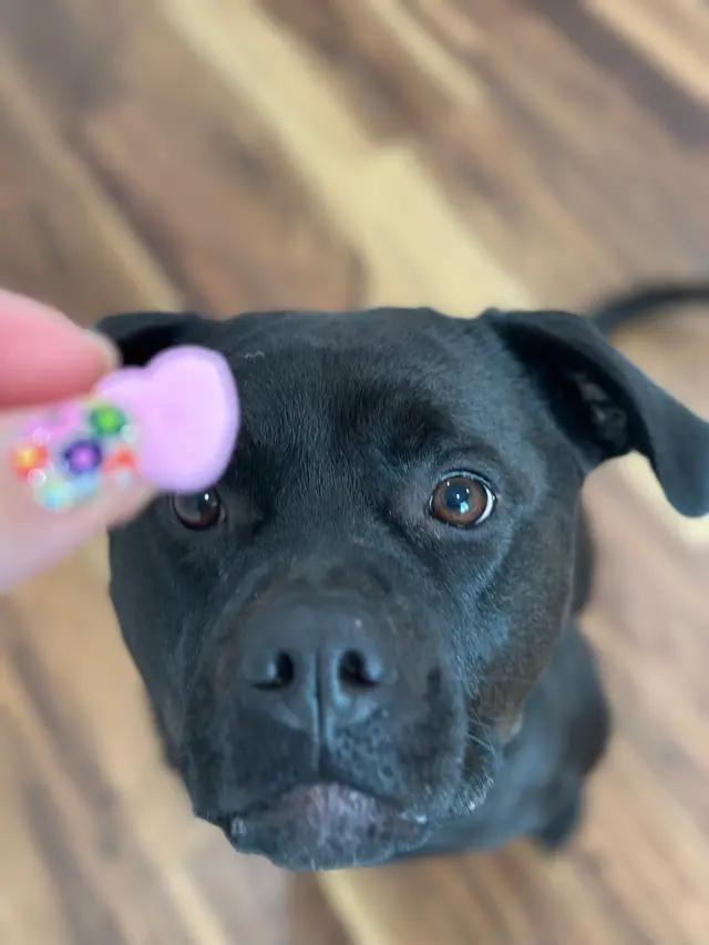 Ella photo 6
