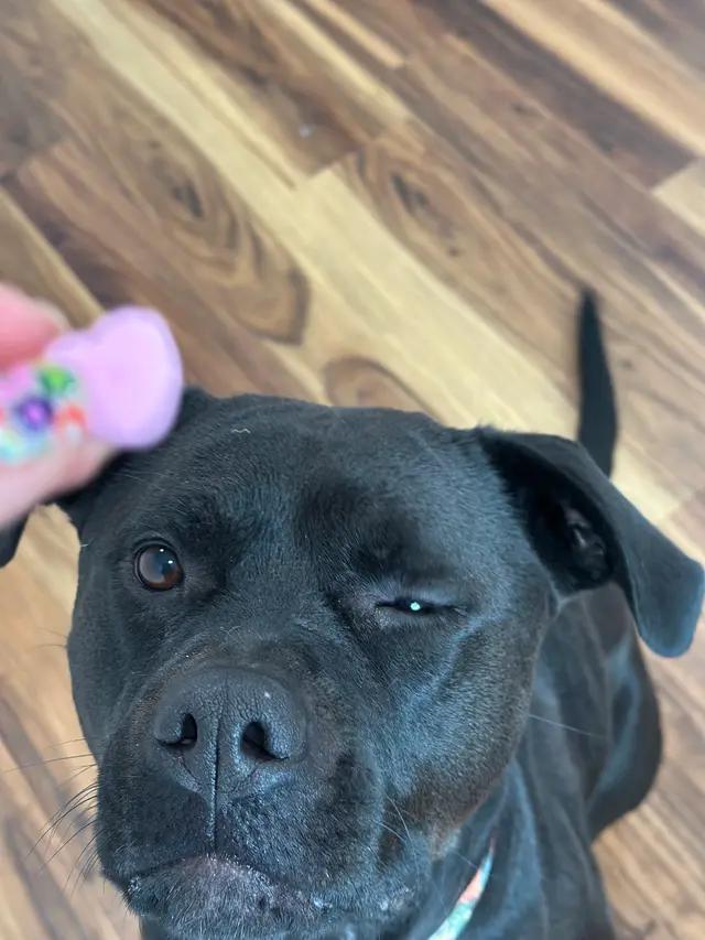 Ella photo 5