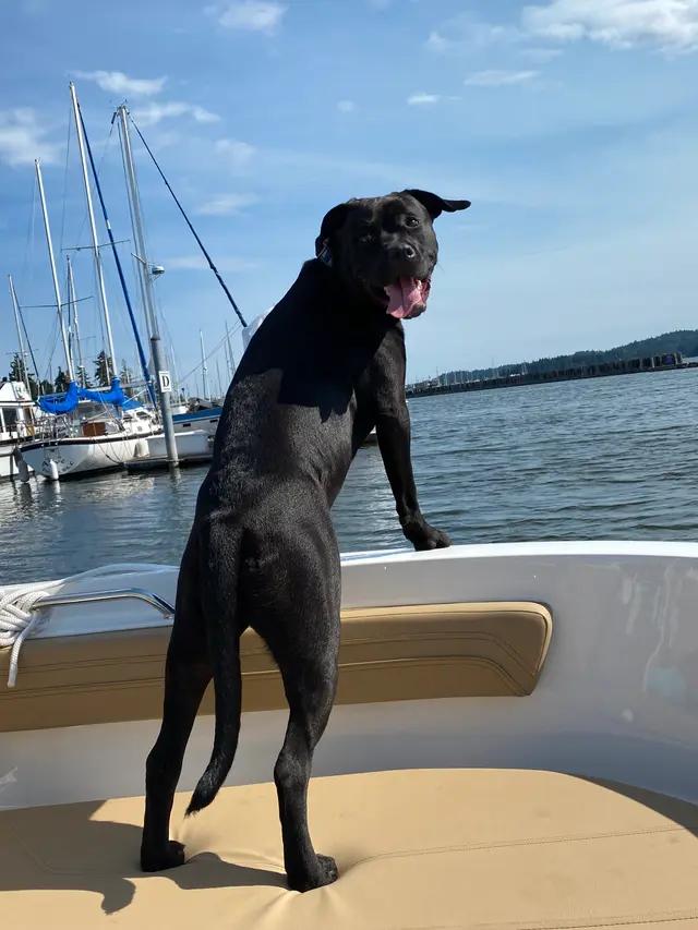 Ella