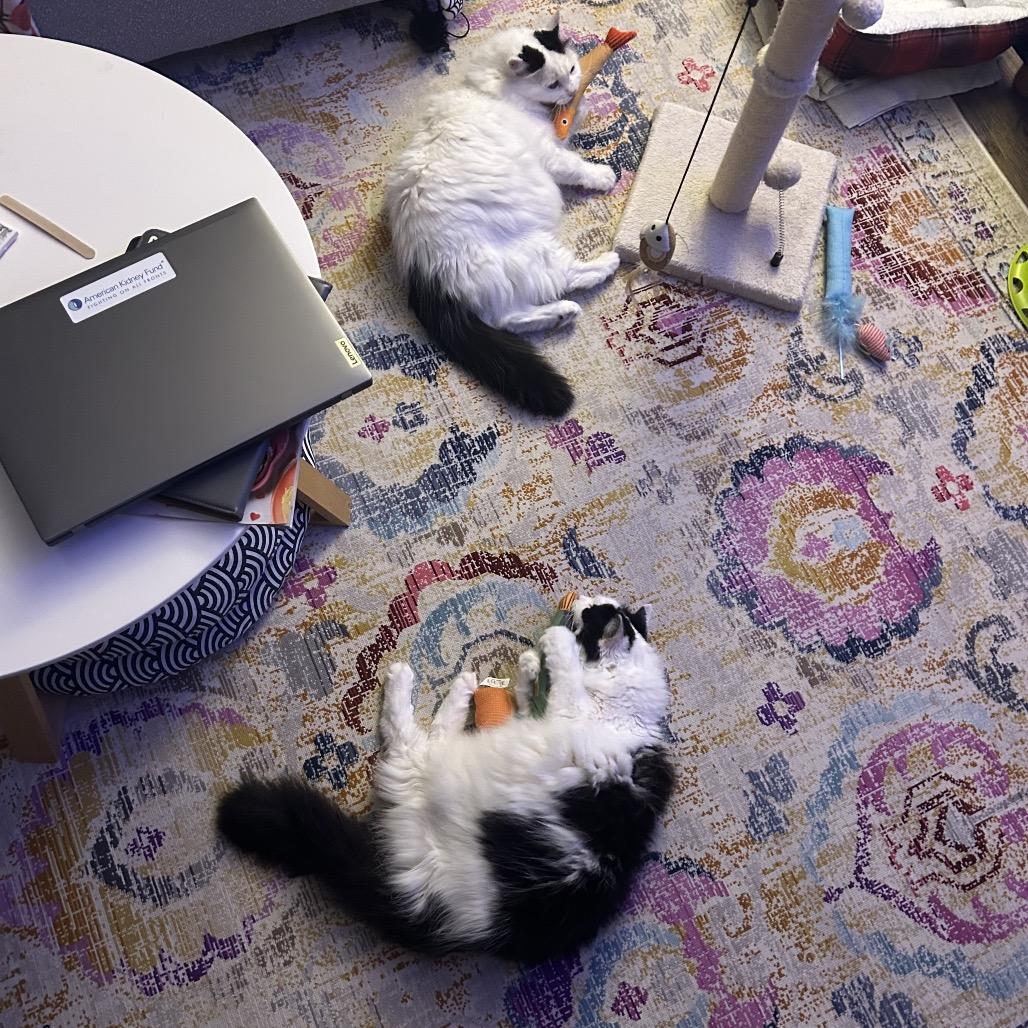 Serena Roanoke (daughter of Simone Roanoke) — thumbnail 3