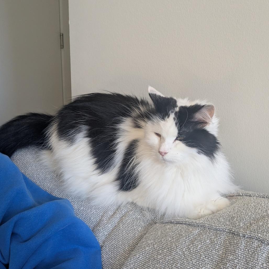 Serena Roanoke (daughter of Simone Roanoke) — thumbnail 4