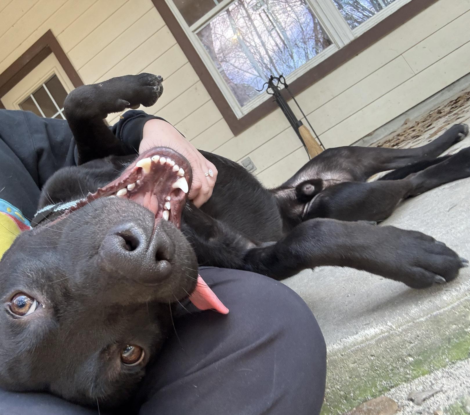 Vader photo 6