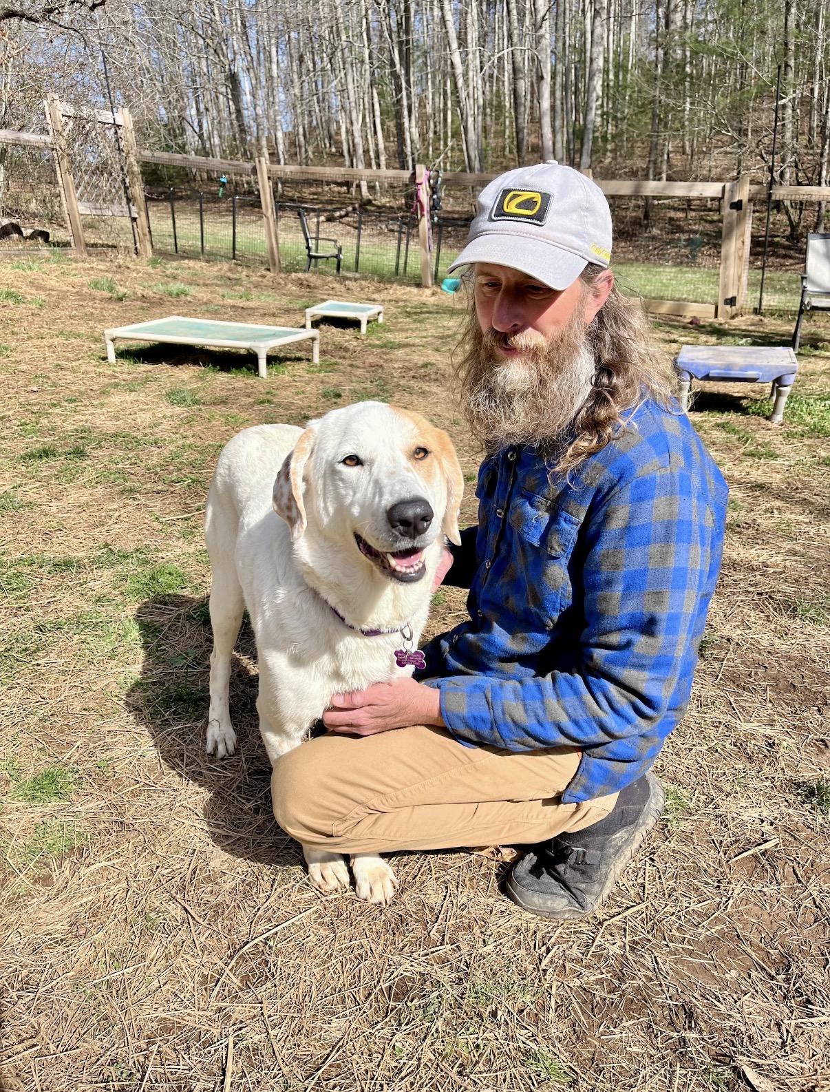 Enlarge Scarecrow, a Adoptable mixed breed in Marshall, NC image 5/6