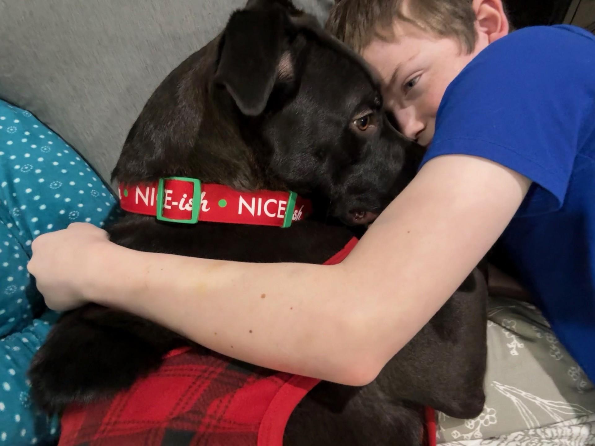 Enlarge Onyx - Active Buddy! Needs Foster - let's get him out of the kennel!, a Adoptable mixed breed in Seattle, WA image 5/6