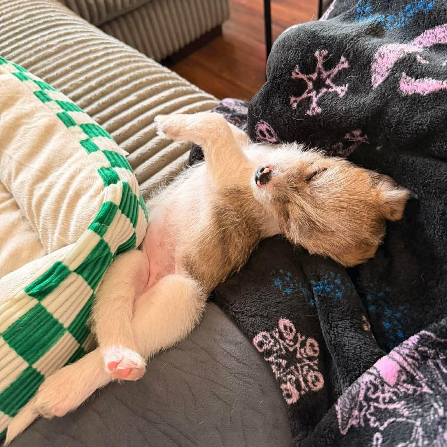 Rachel — thumbnail 4