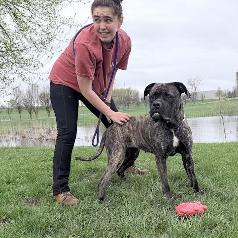 Enlarge Bubbles, an adoptable mixed breed in Lake Odessa, MI image 4/6