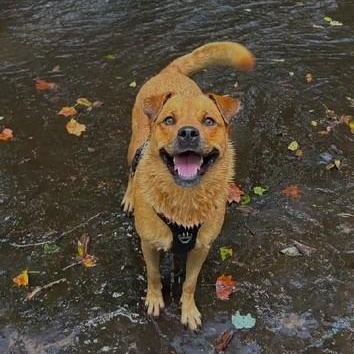 Serena Wiggles ~ Always ready for an adventure! 6