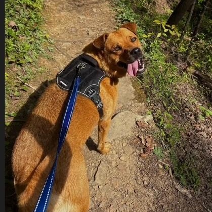 Serena Wiggles ~ Always ready for an adventure! 2