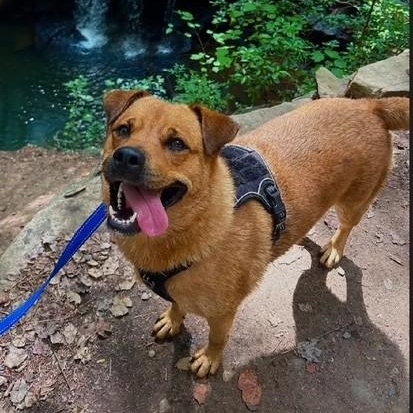 Serena Wiggles ~ Always ready for an adventure! 5