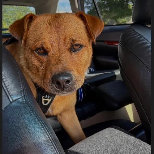 Serena Wiggles ~ Always ready for an adventure! 4