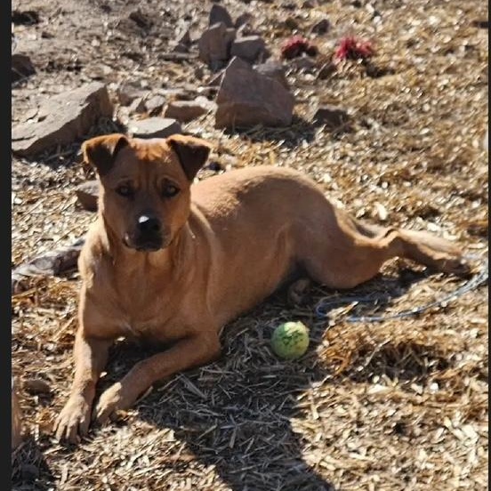 Serena Wiggles ~ Always ready for an adventure! 3