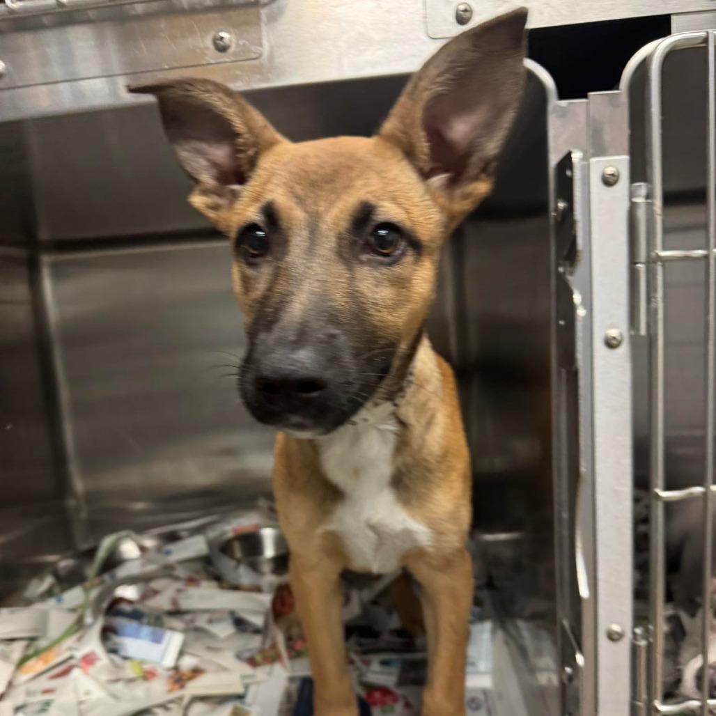 Leah — thumbnail 2