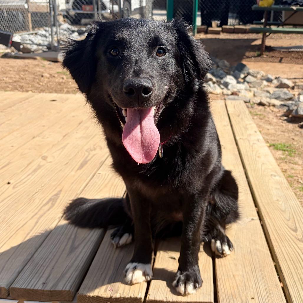 Eclair 22116 — thumbnail 2