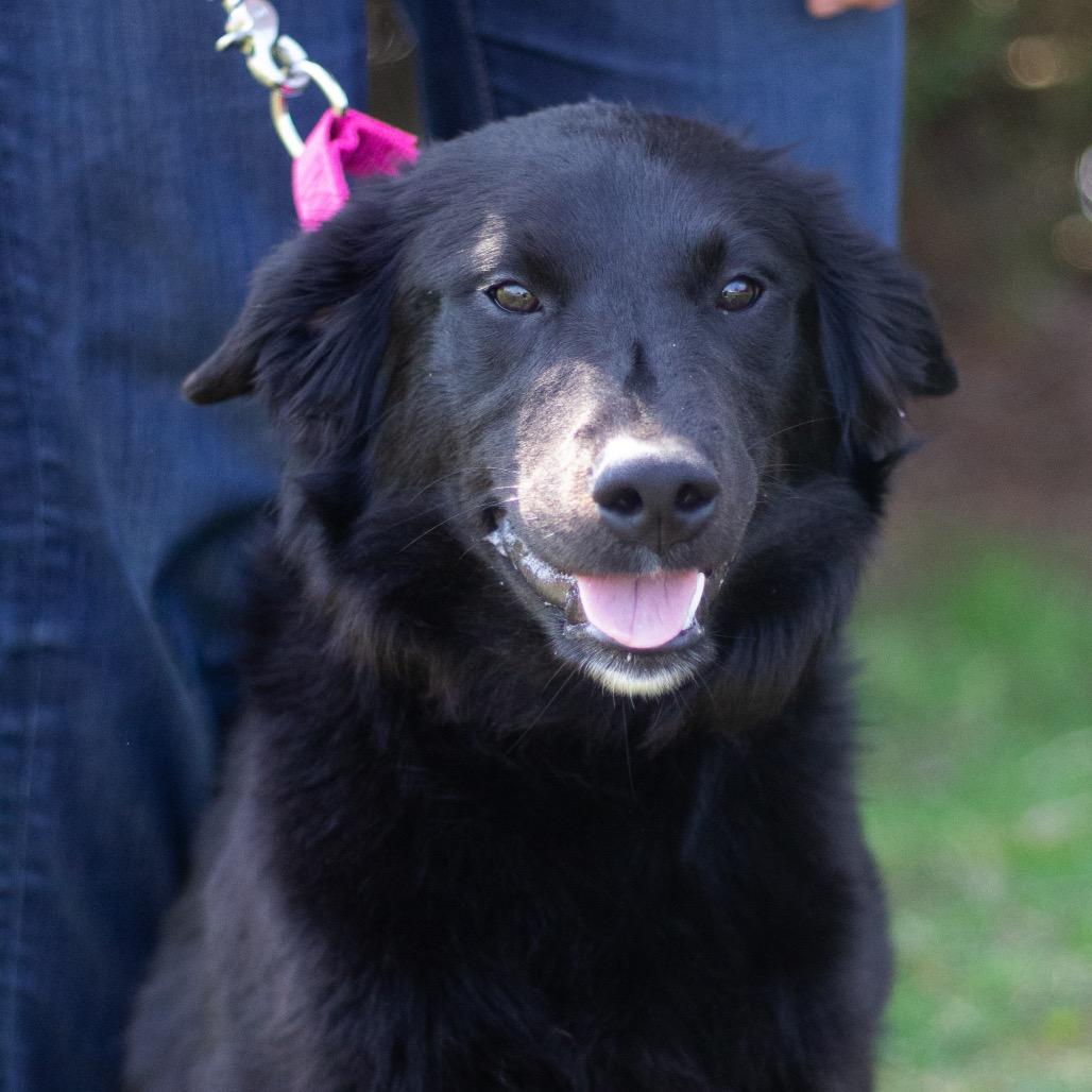 Eclair 22116 — thumbnail 3