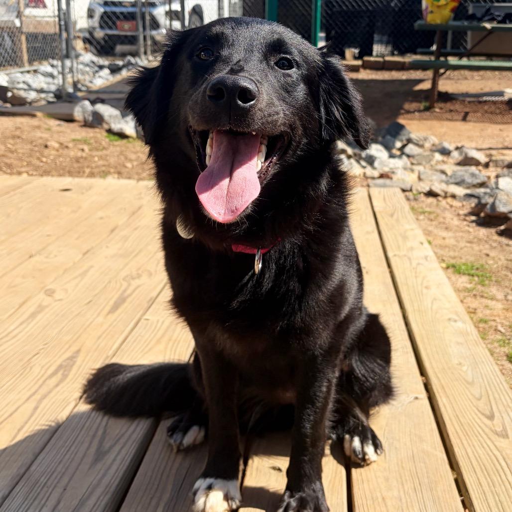 Eclair 22116 — thumbnail 4