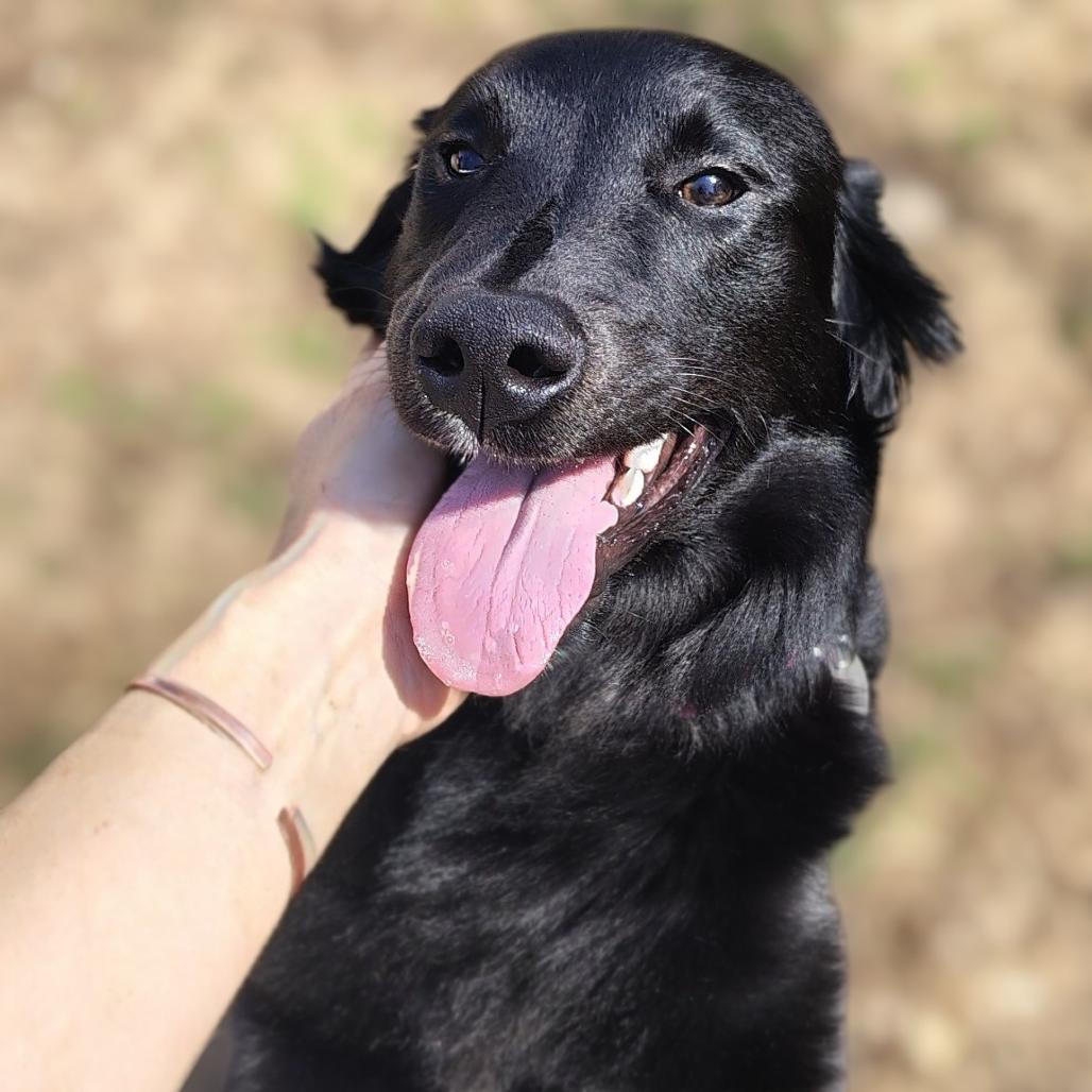 Eclair 22116 — thumbnail 5