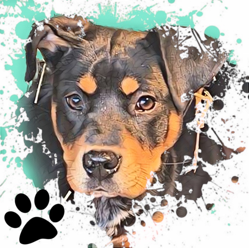 Bree photo 1