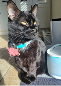 Bella photo 2