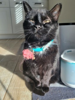 Bella photo 3