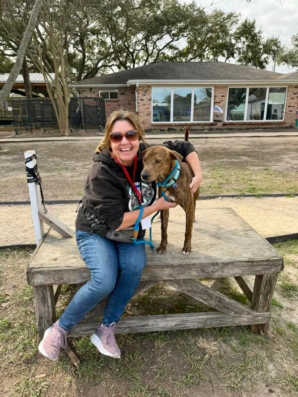 Kermit The Dog — thumbnail 3