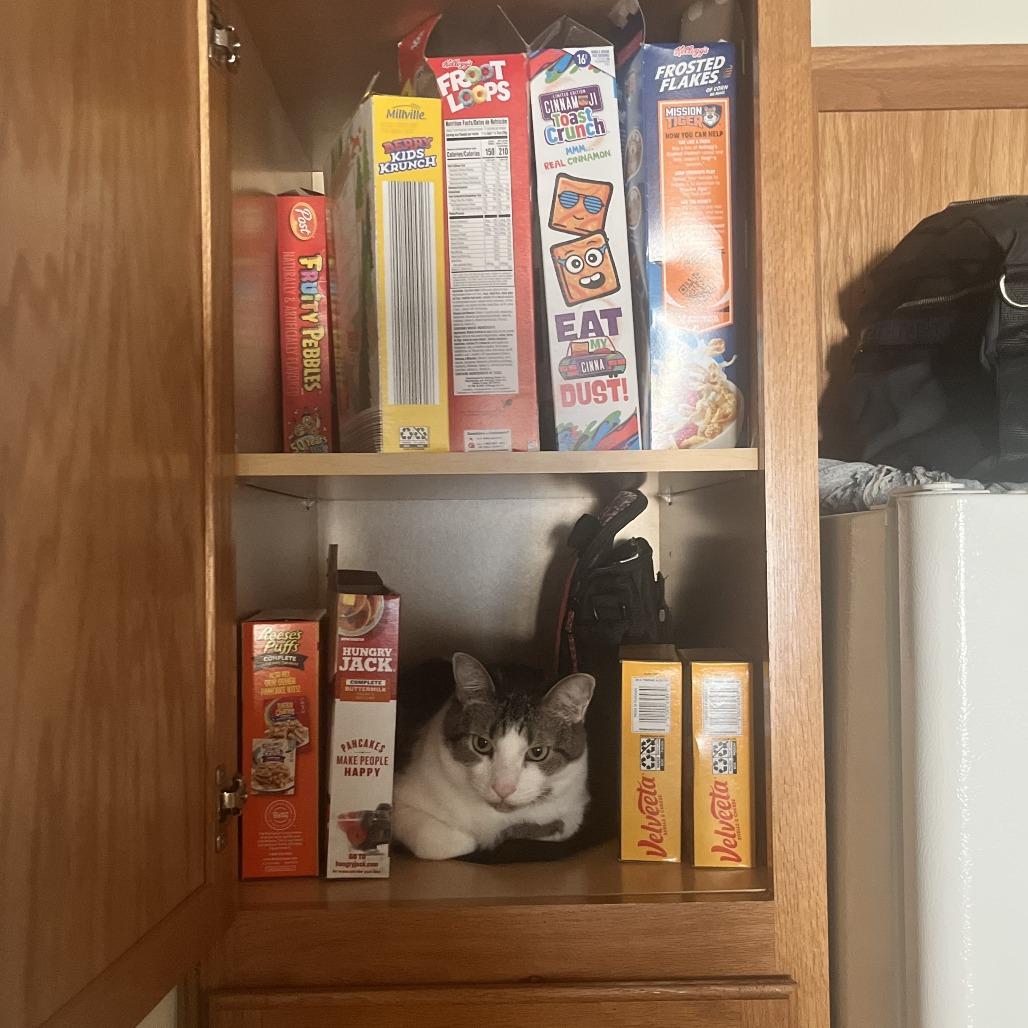 Poindexter — thumbnail 4