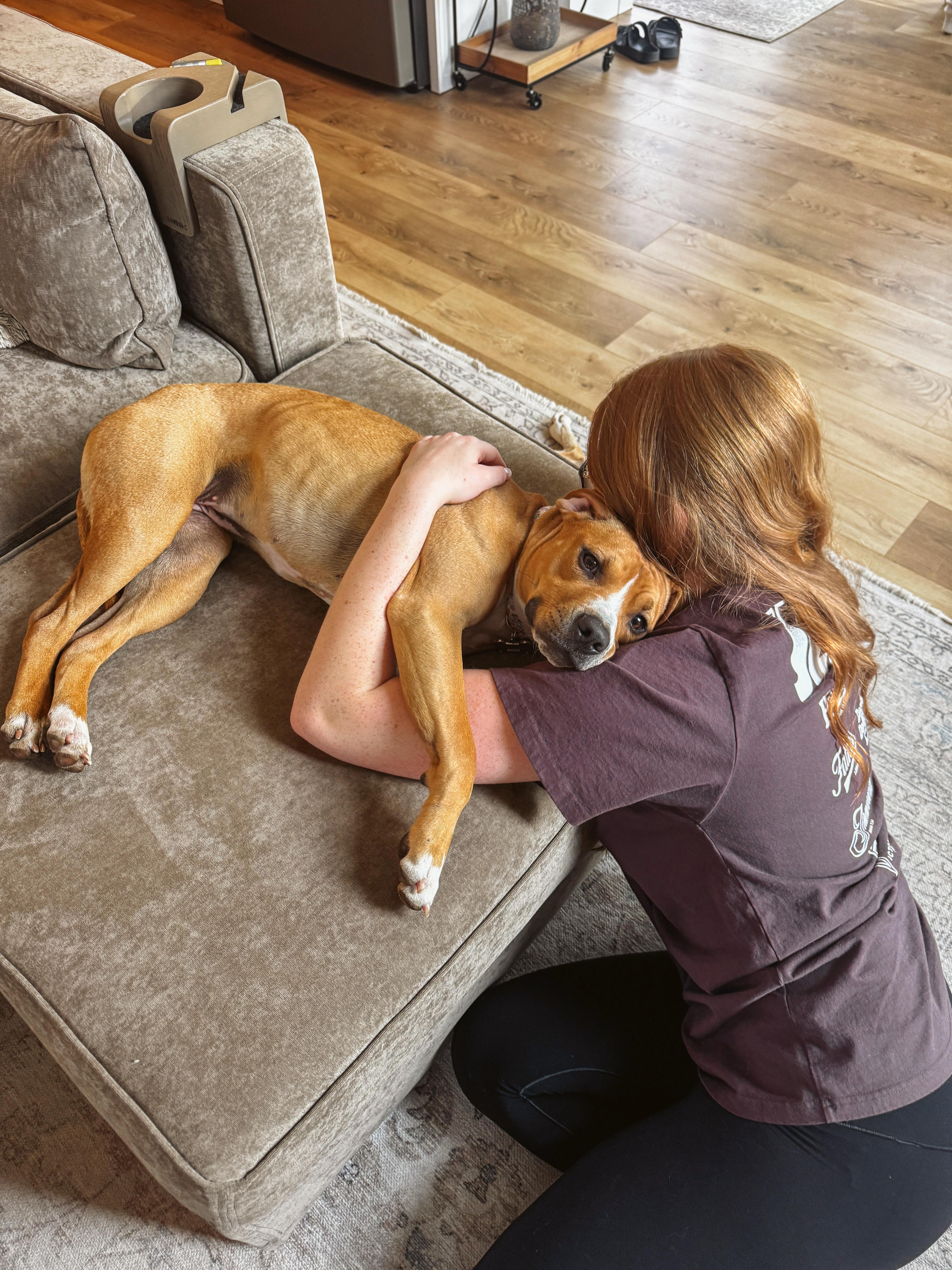 Harleigh, an adopted mixed breed in Cincinnati, OH image 4/6