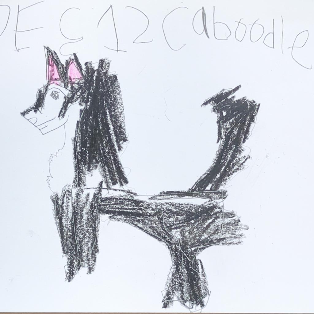 Caboodle — thumbnail 2