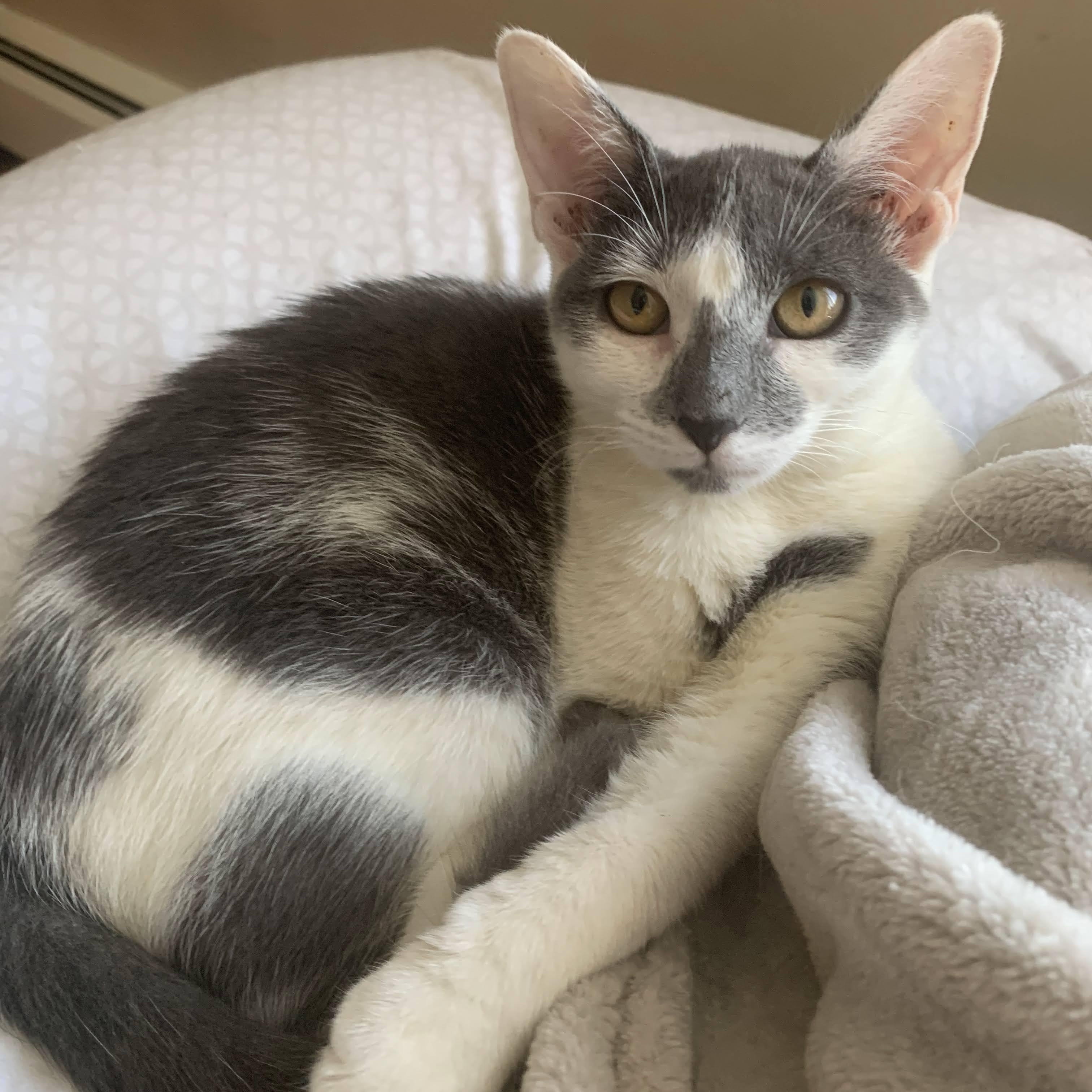 Jenna, Jackie, & Joey