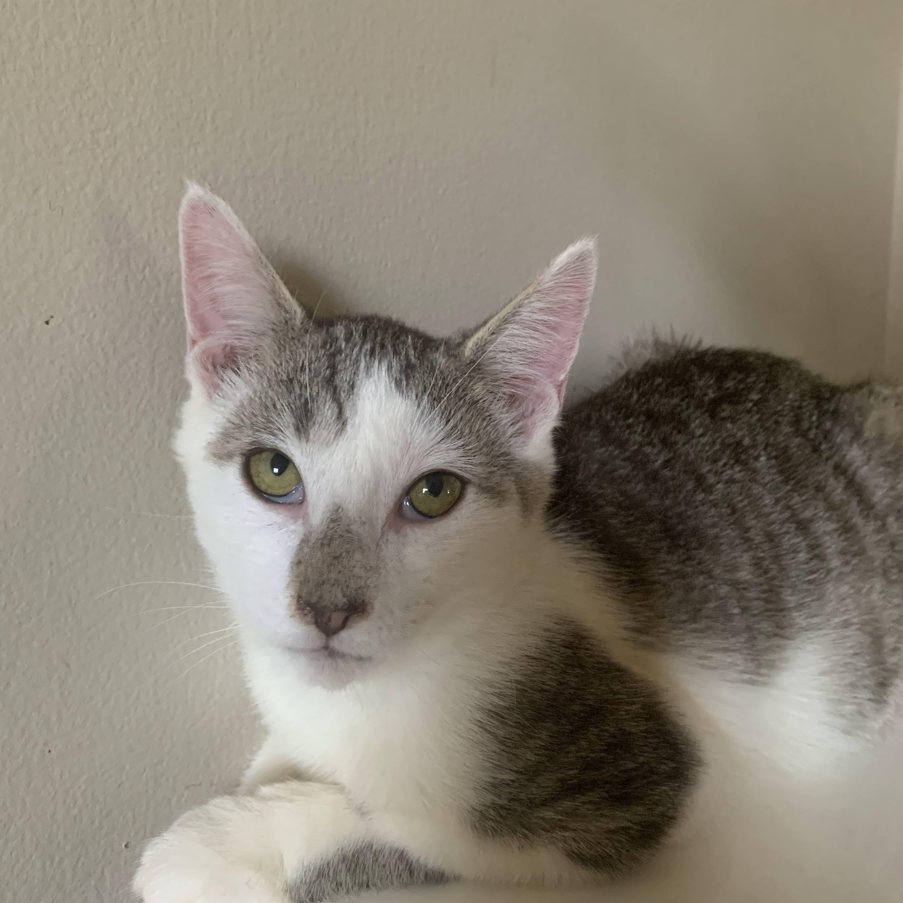 Jenna, Jackie, & Joey