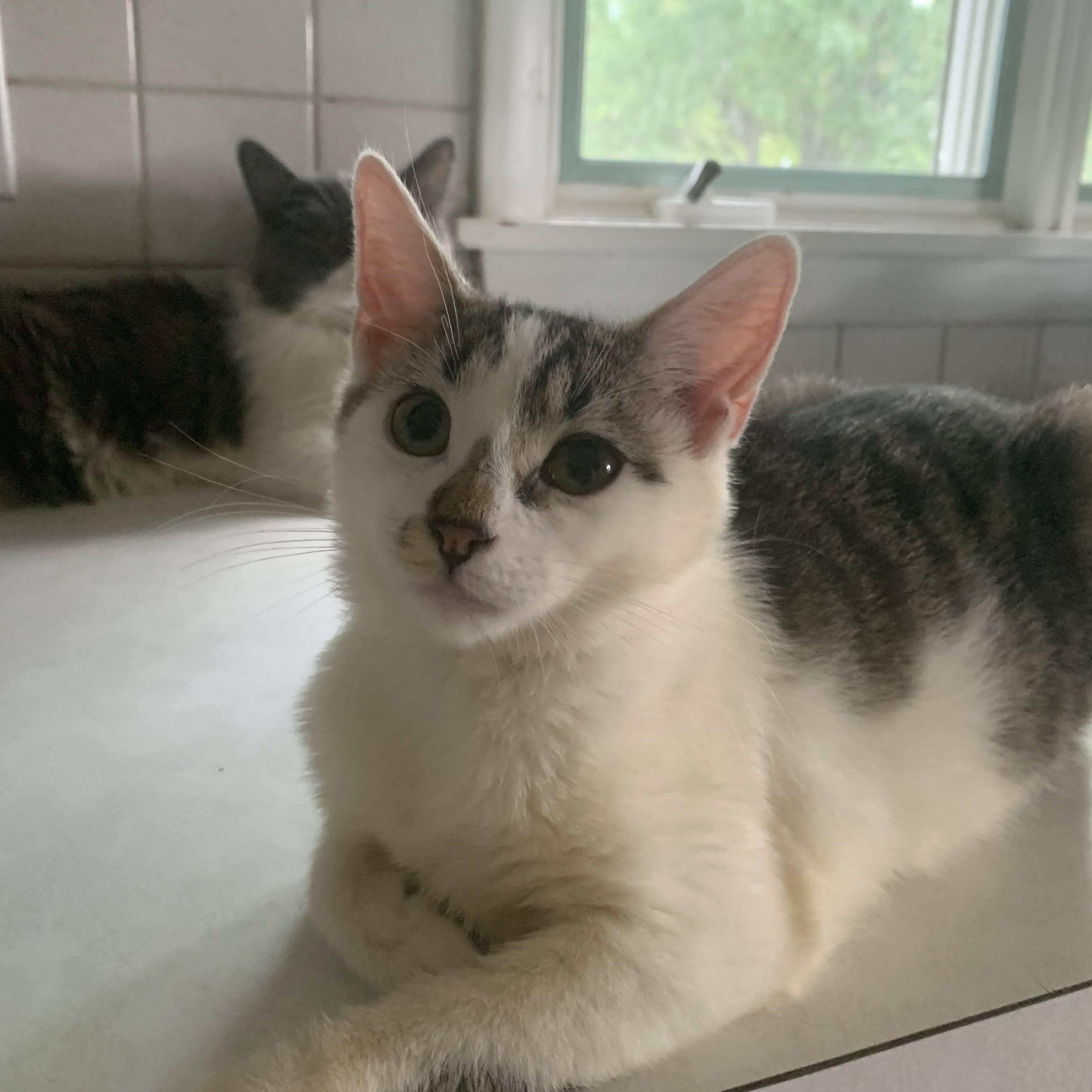 Jenna, Jackie, & Joey