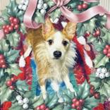 Bonzo, adopted, Adult Male Terrier.