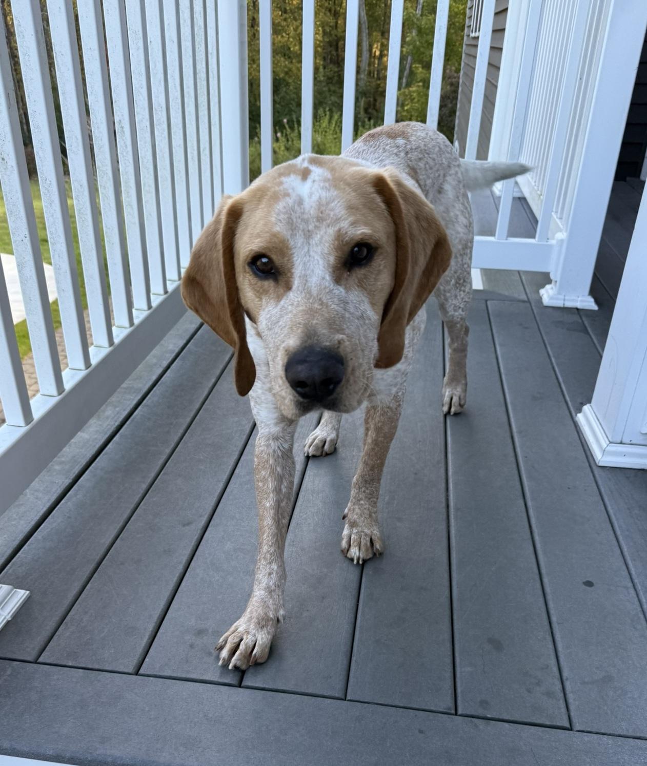 Rusty