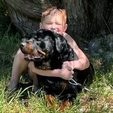 Enlarge Zeus, a ADOPTABLE Rottweiler in Redmond, WA image 3/6