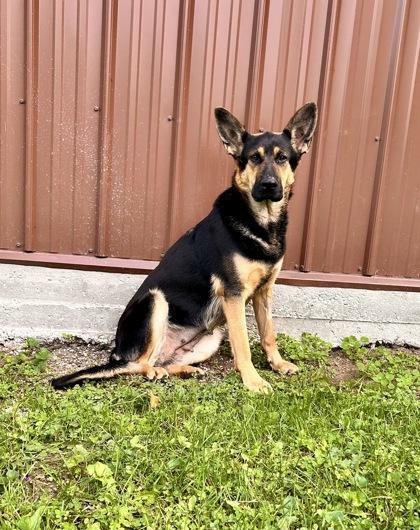 Winnie