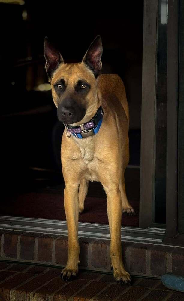 Loki  Located In thumbnail 4