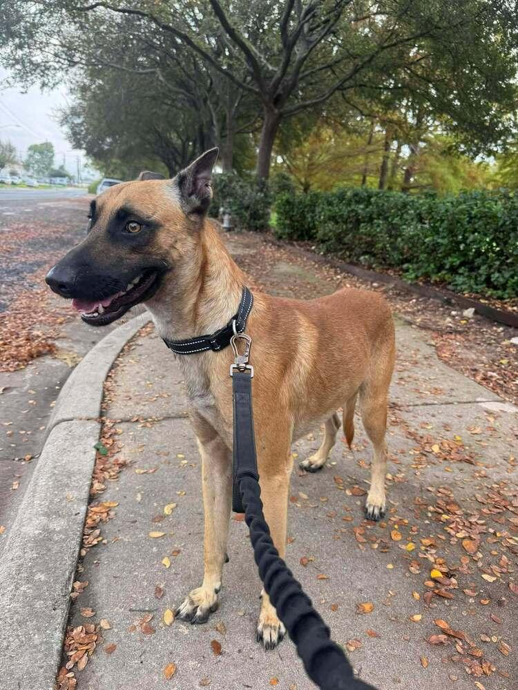 Loki  Located In thumbnail 5