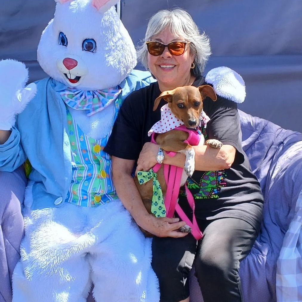 Enlarge Arnie, a ADOPTABLE mixed breed in Redmond, WA image 1/6