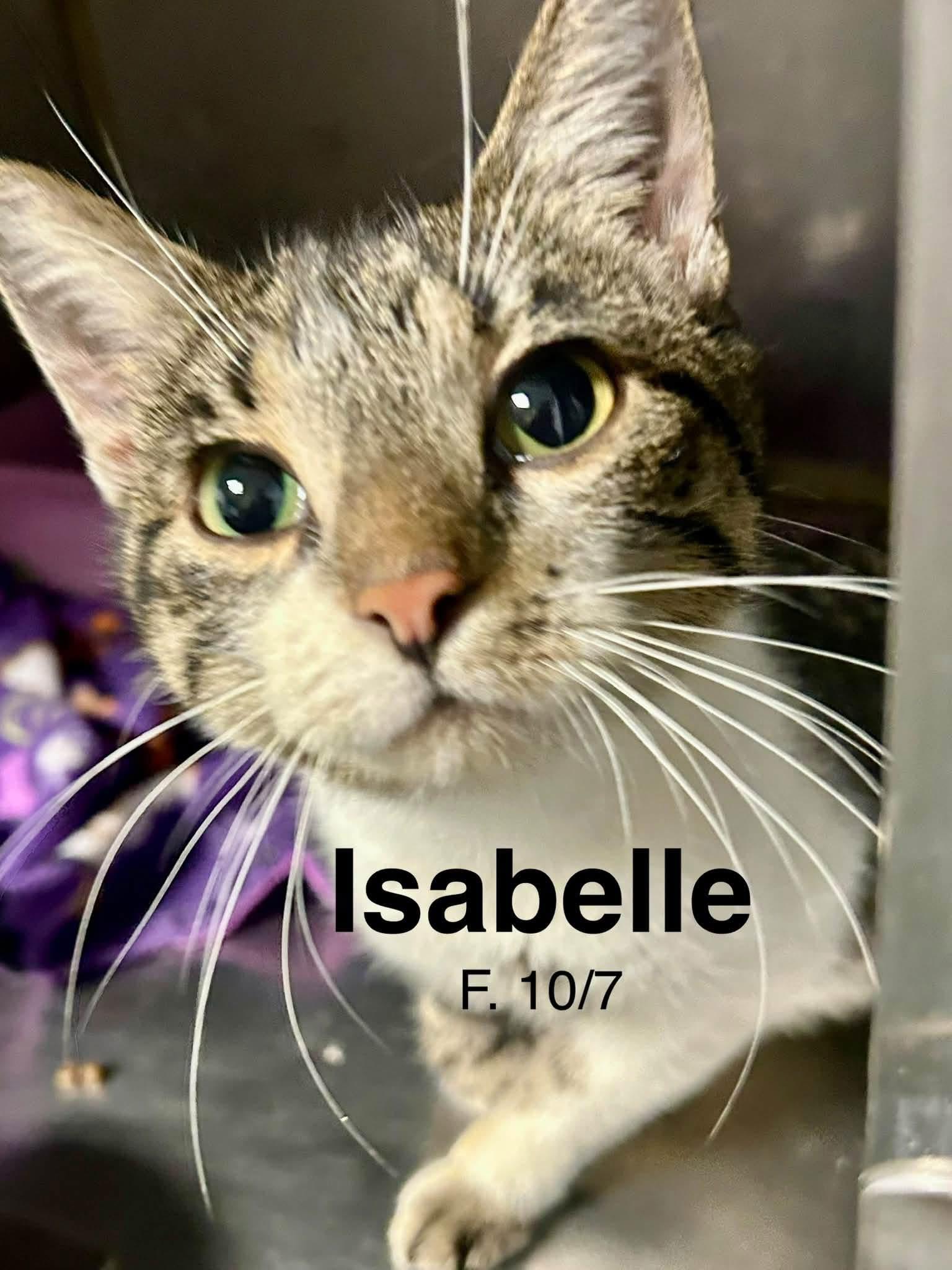 Isabella photo