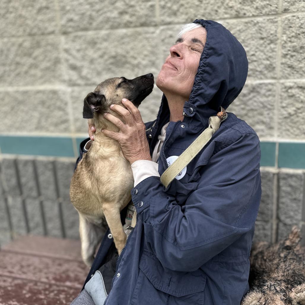 Enlarge Gwen (puppy) - ECAS, a Adoptable Mixed Breed in Pleasanton, CA image 2/6