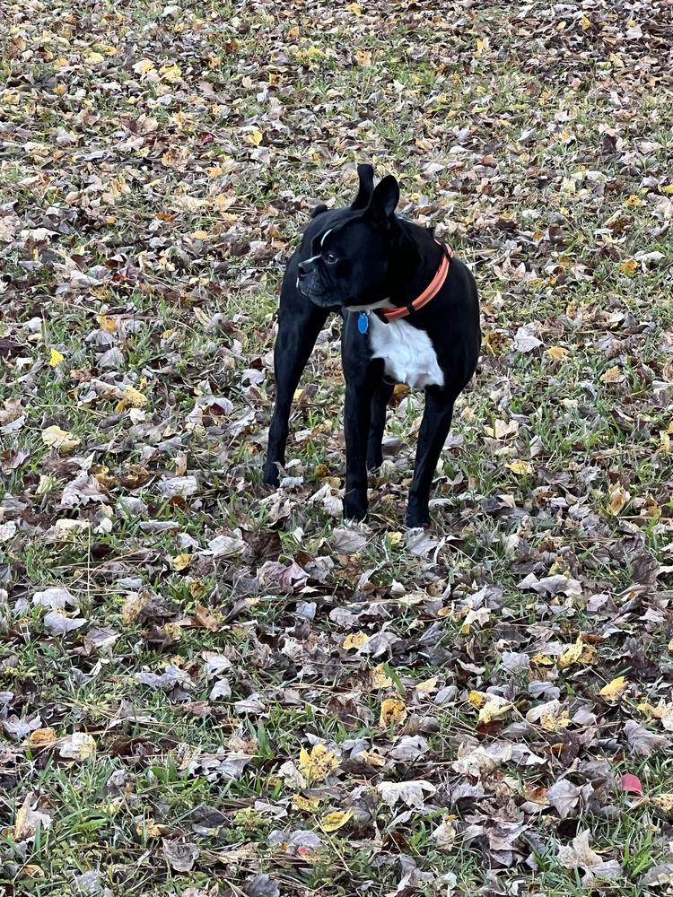 Calvin Rufusjacksonville nc thumbnail 3