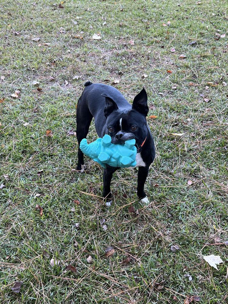 Calvin Rufusjacksonville nc thumbnail 4