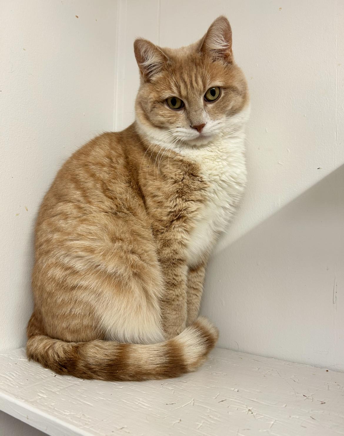 Vincent & Cecil *Bonded-Read Bio*