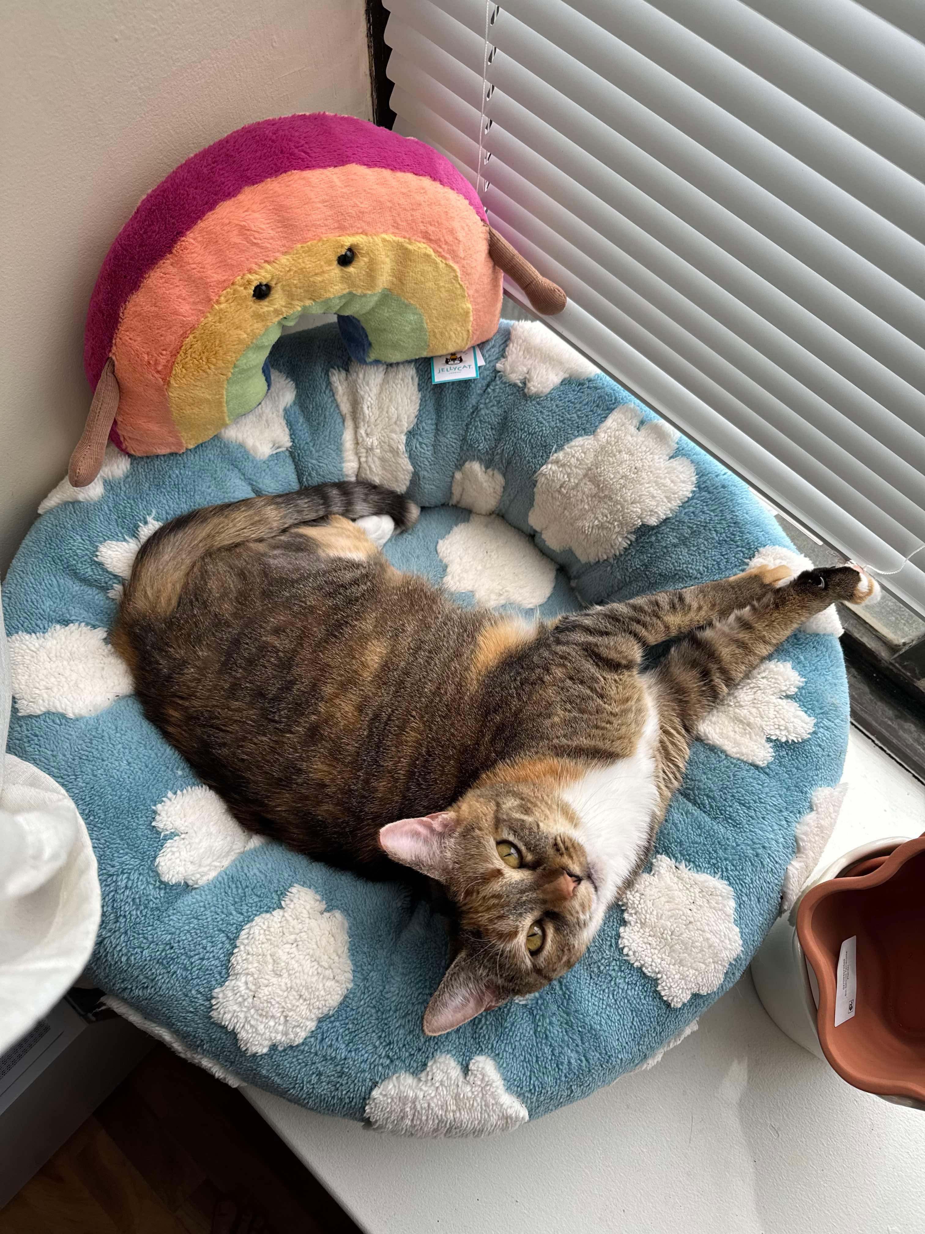 Lily