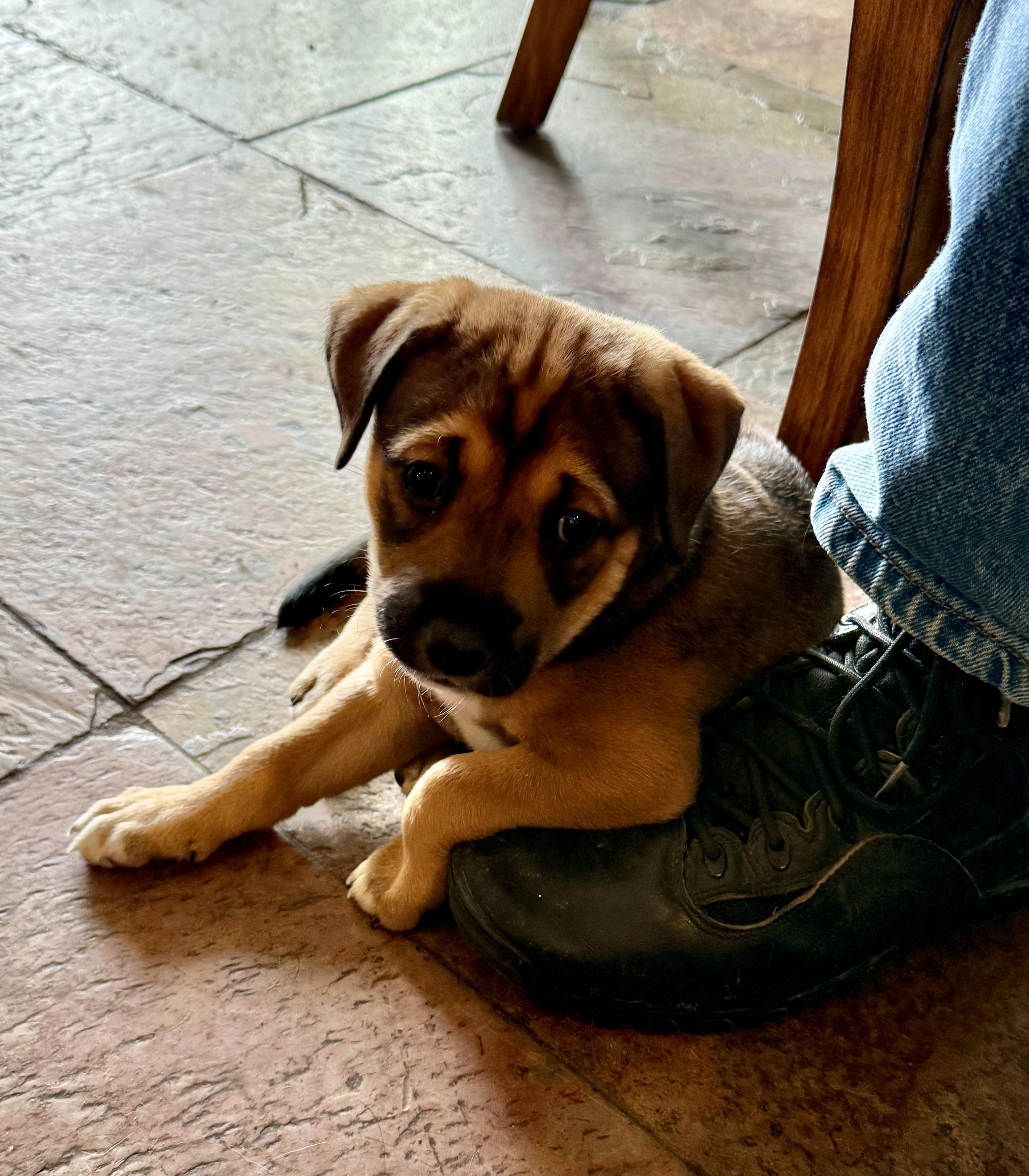 Yolandi — thumbnail 3