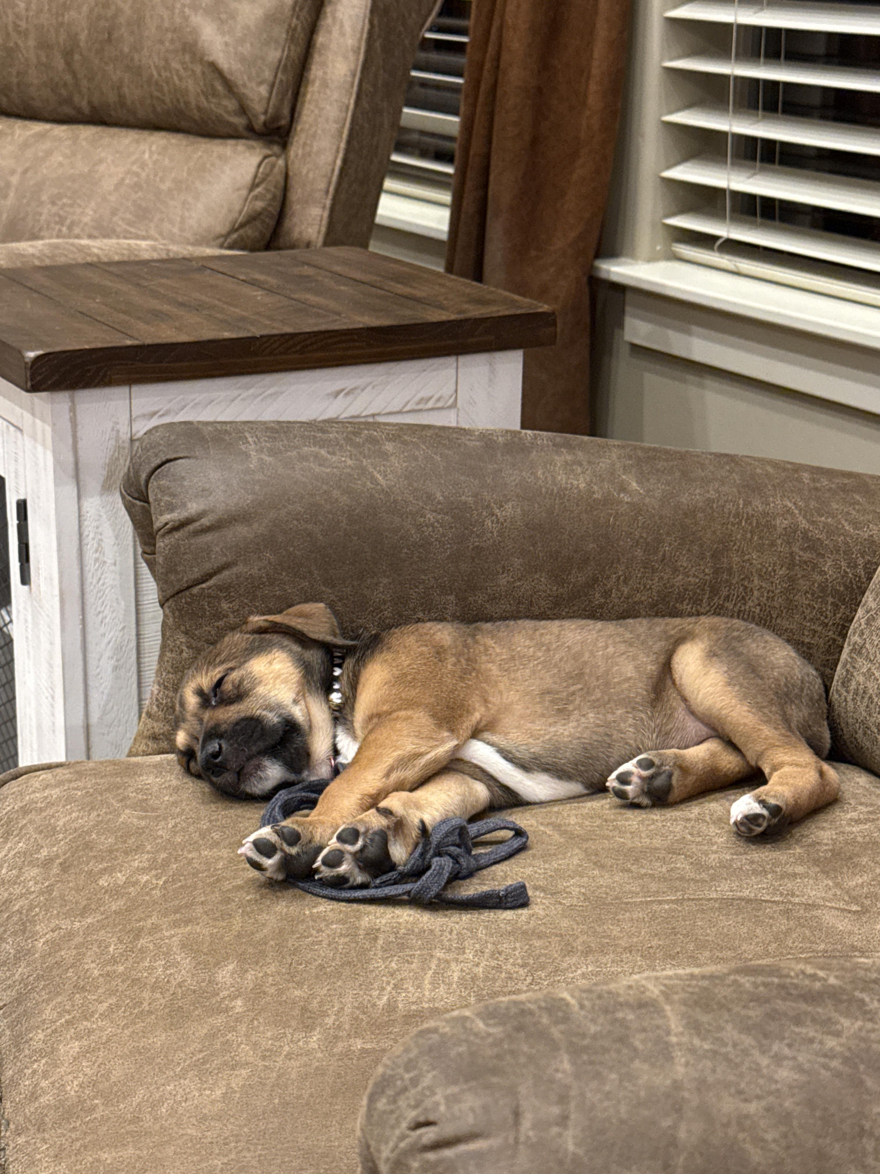 Yolandi — thumbnail 4