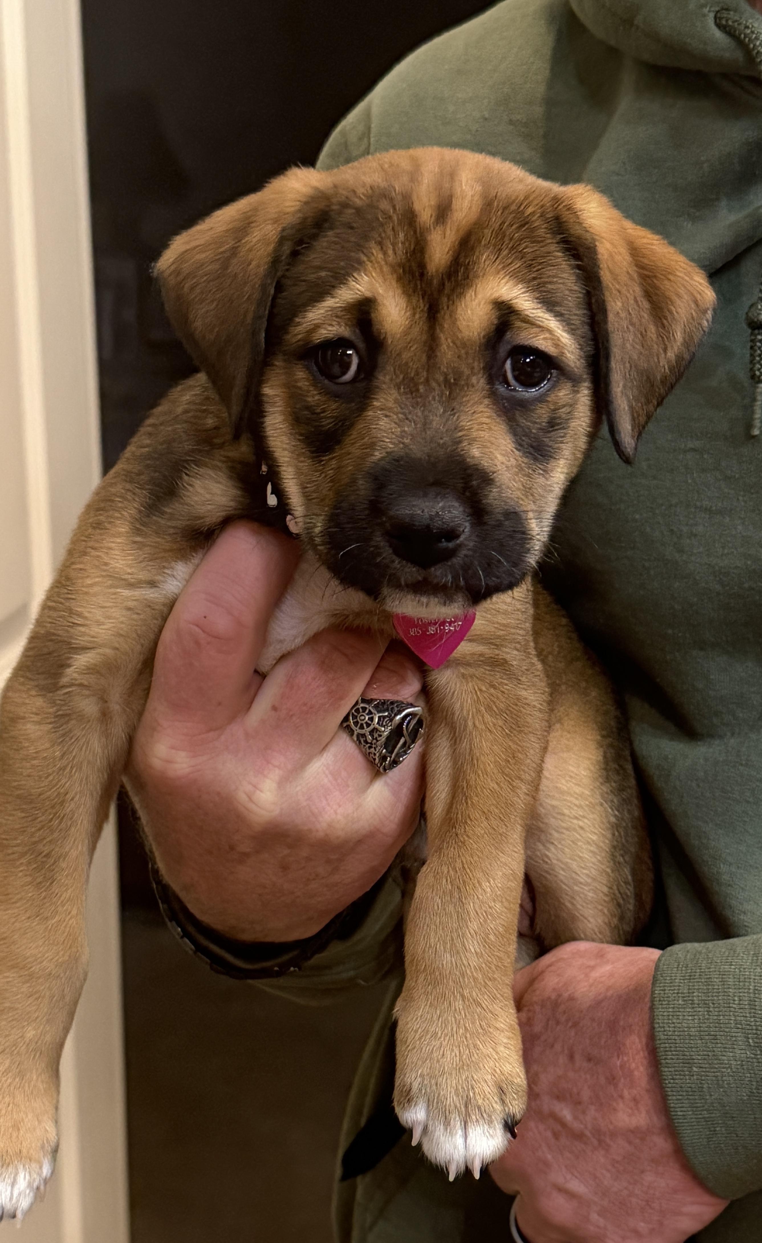 Yolandi — thumbnail 5