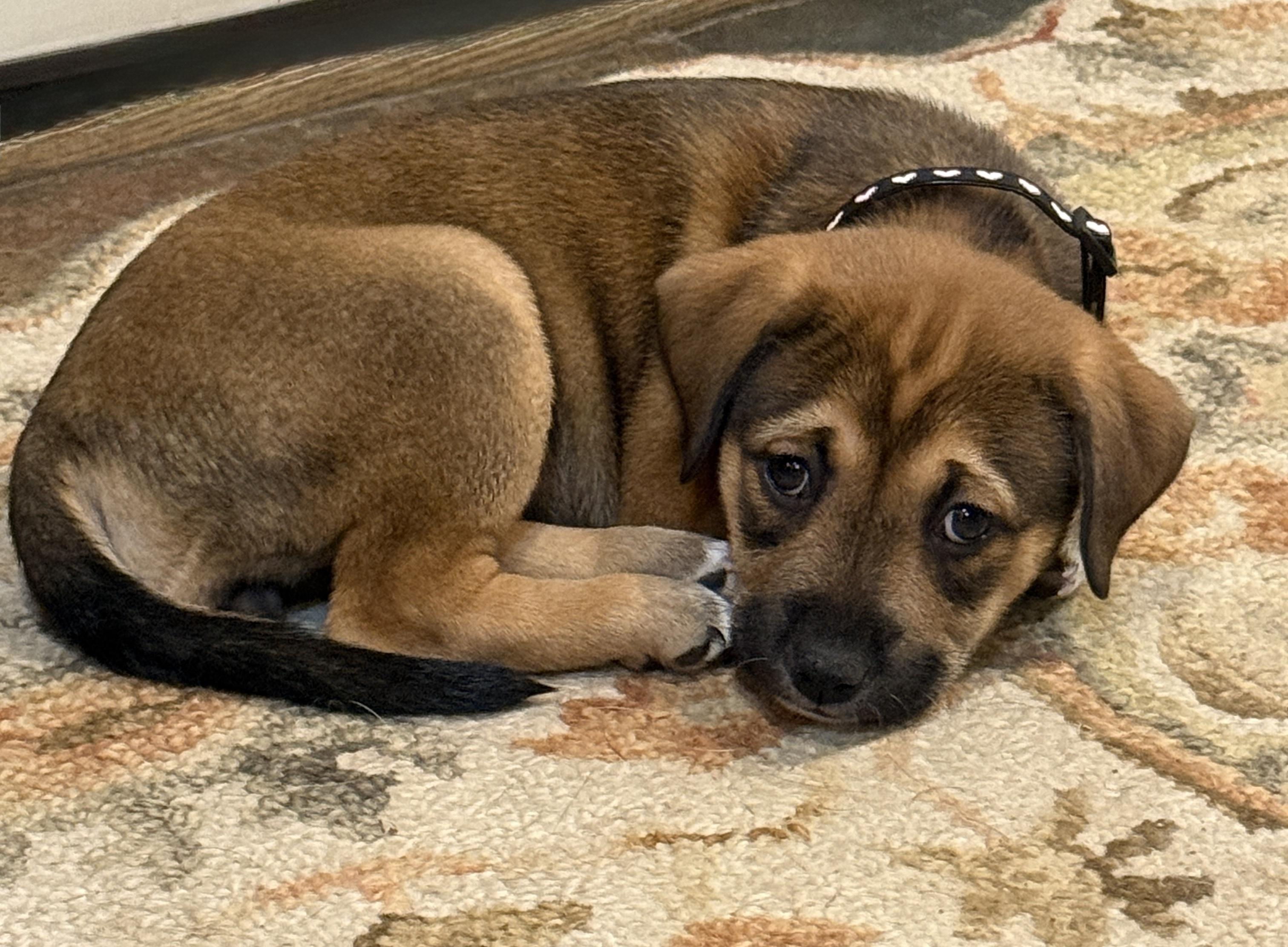 Yolandi — thumbnail 6