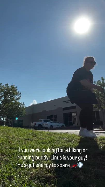 Enlarge Linus, a Adoptable Pit Bull Terrier in Rancho Santa Margarita, CA video 5/6