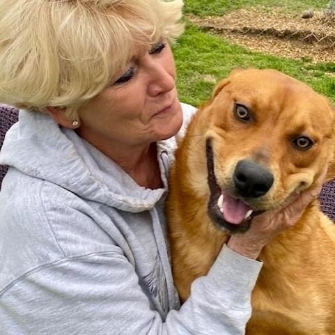 Enlarge Savior, a Adoptable mixed breed in Southaven , MS image 6/6