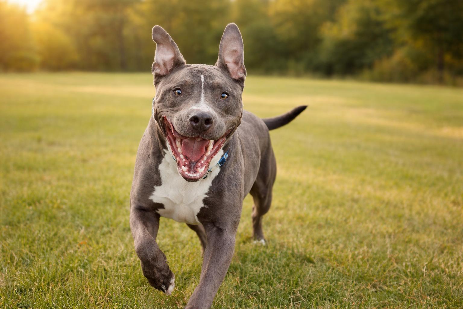 Lotta — thumbnail 3